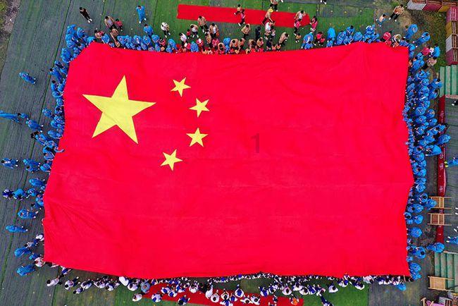 狗狗总上地毯怎么办